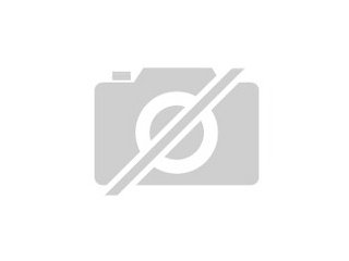 Junge dreiköpfige Familie sucht Haus zum Mietkauf im Landkreis Bautzen